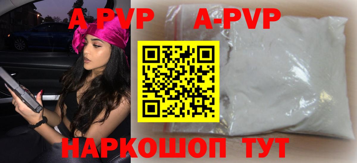 A-PVP СК КРИС Светлоград