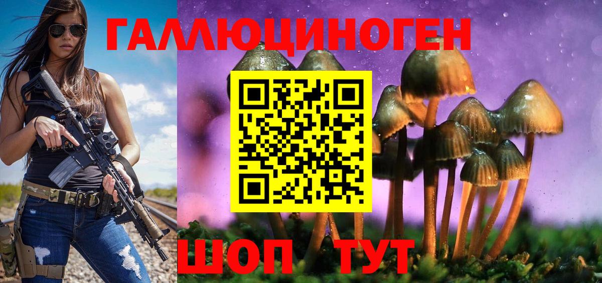 Псилоцибиновые грибы GOLDEN TEACHER Светлоград