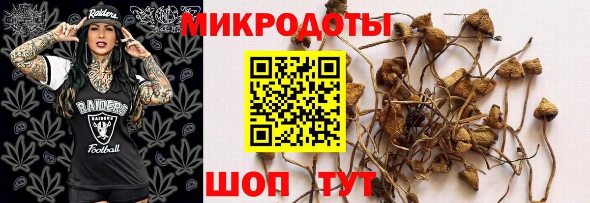 Светлоград  Галлюциногенные грибы мицелий  Вход с VPN  Псилоцибиновые грибы Magic Shrooms 