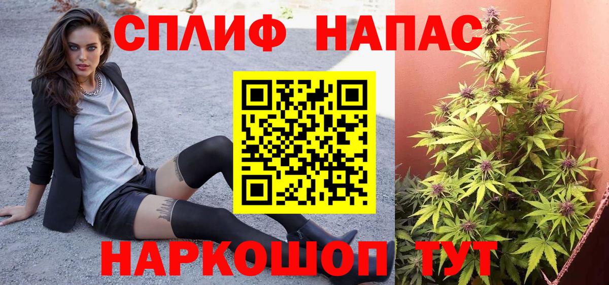 Бошки марихуана марихуана Светлоград